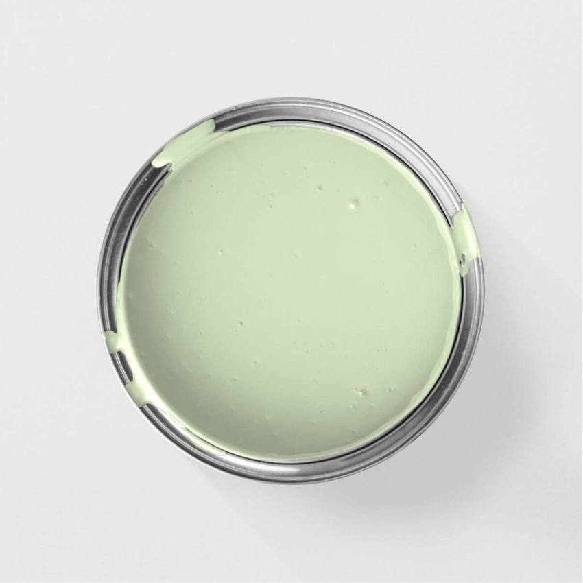 Green With Brich